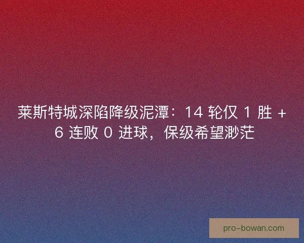 莱斯特城深陷降级泥潭：14 轮仅 1 胜 + 6 连败 0 进球，保级希望渺茫